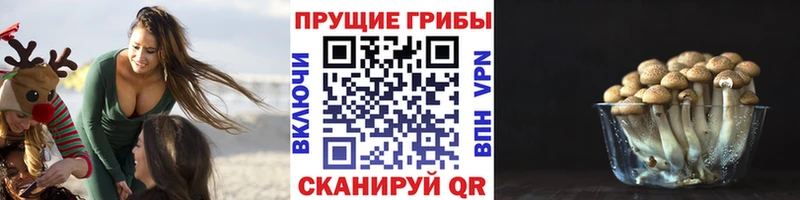 Псилоцибиновые грибы Magic Shrooms  Ноябрьск 